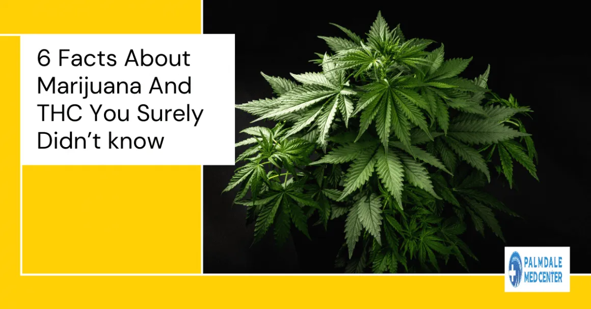 6 Facts About Marijuana and THC You Surely Didn’t know