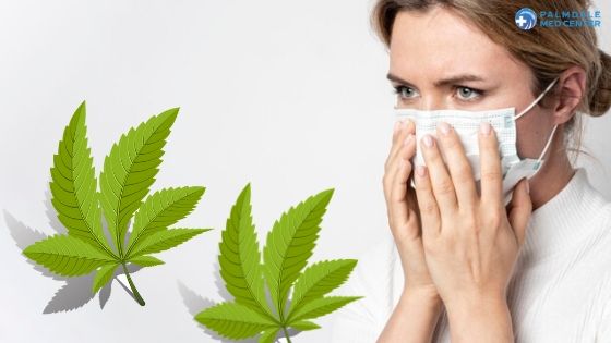 All You Should Know About Cannabis and COVID-19