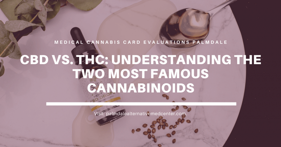 CBD vs. THC Understanding the Two Most Famous Cannabinoids