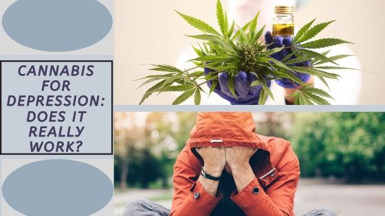 Cannabis for Depression: Does it Really Work?