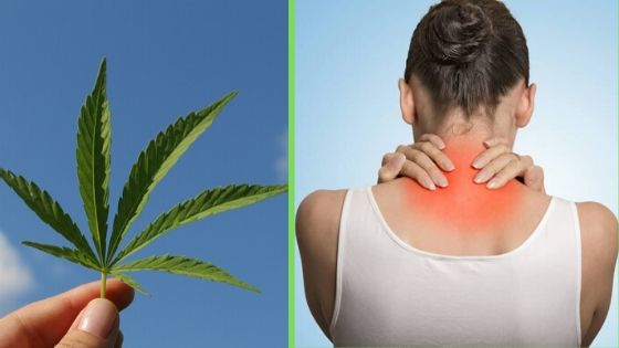 Here’s How Marijuana Helps Fibromyalgia Patients