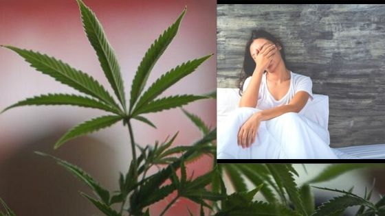 Is Depression a Qualifying Condition For a Medical Marijuana Card?