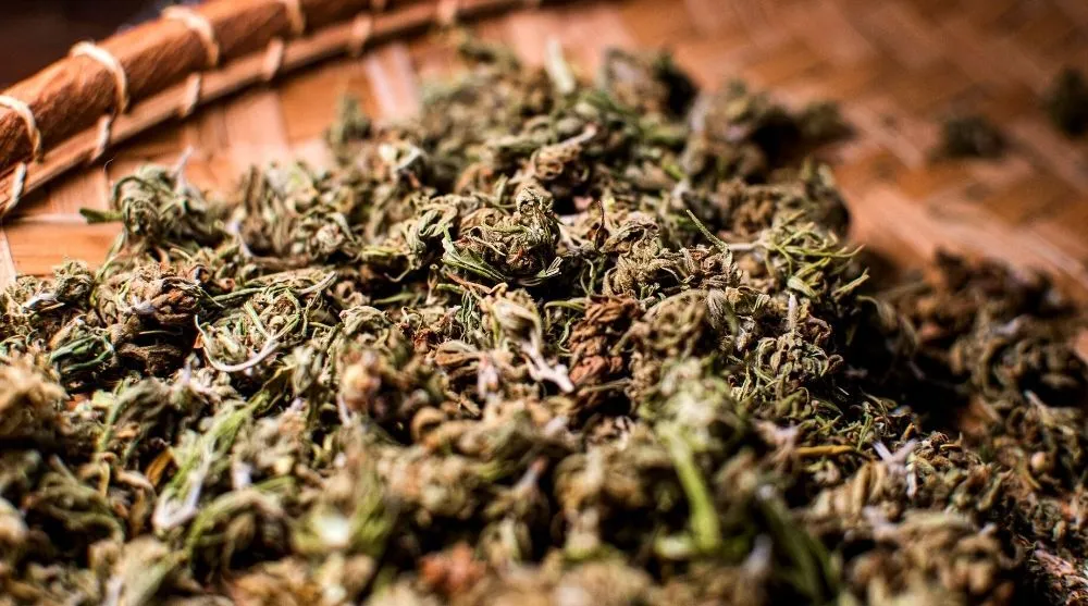 What Are The Best Strains For Depression?