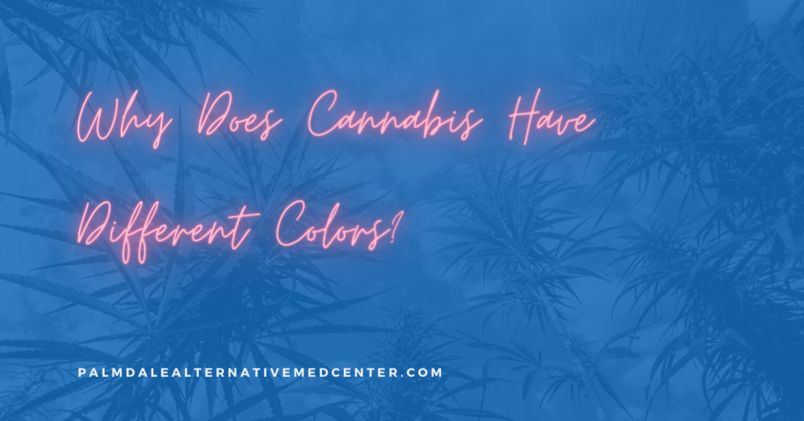 Why Does Cannabis Have Different Colors